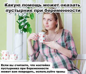 Какую помощь может оказать пустырник при беременности