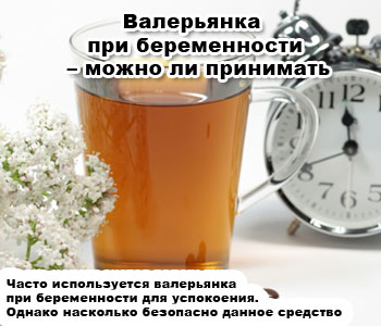 Валерьянка при беременности – можно ли принимать